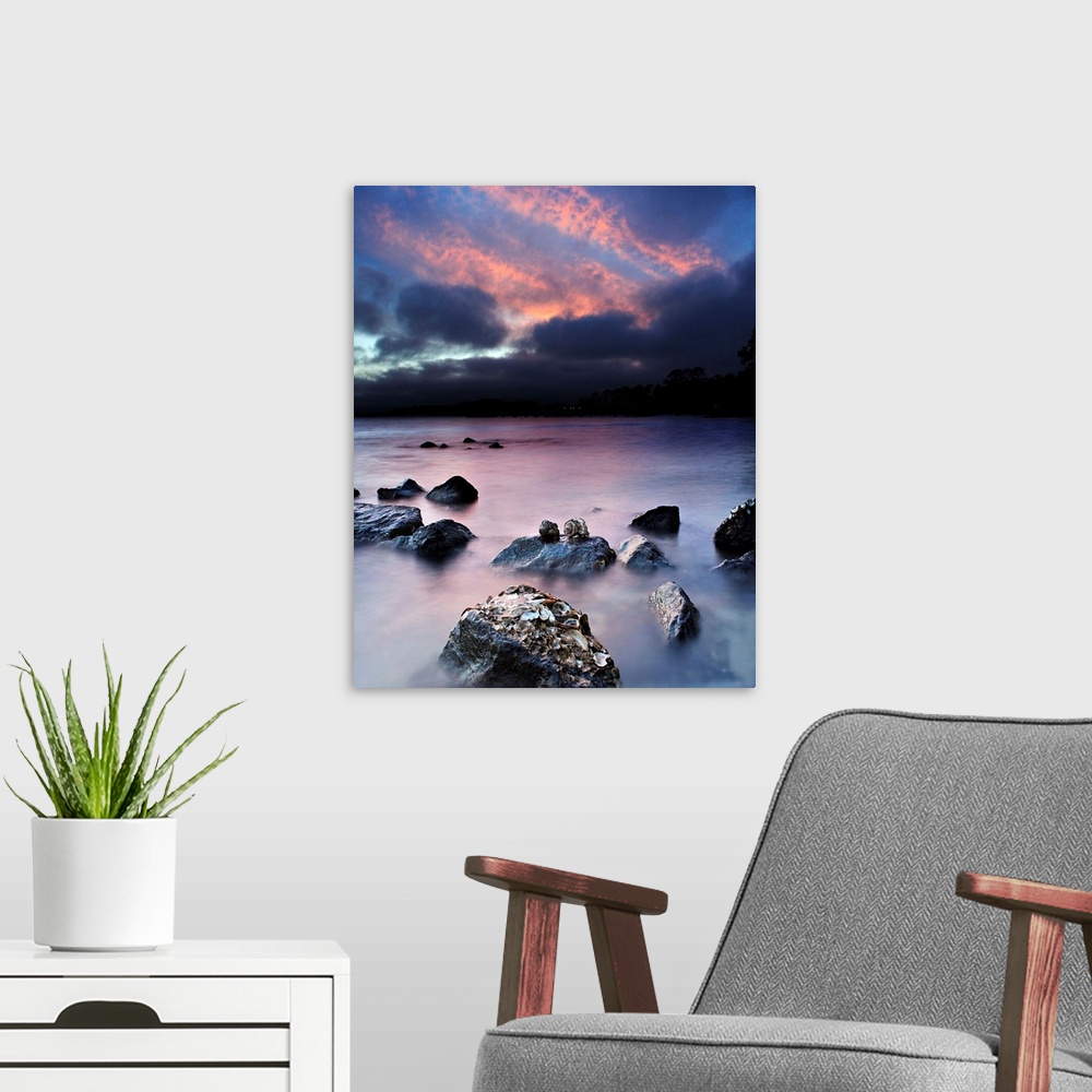 A modern room featuring Two hermit crabs sit atop a rock during twilight. A reflection of the pink sky can be seen in the...