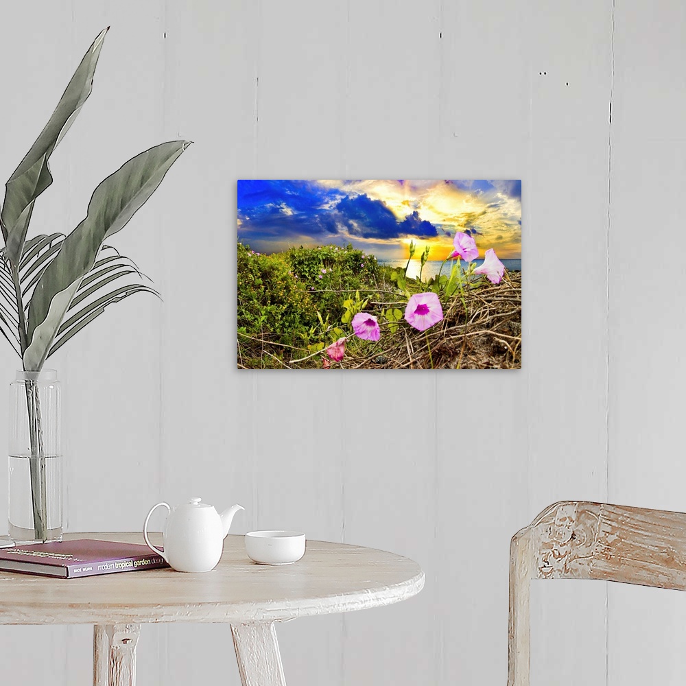 A farmhouse room featuring Purple morning glory in this wildflower landscape at sunrise.