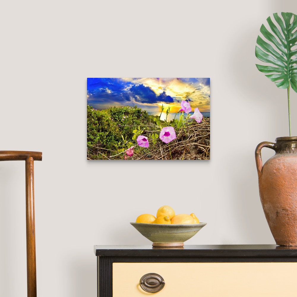 A traditional room featuring Purple morning glory in this wildflower landscape at sunrise.