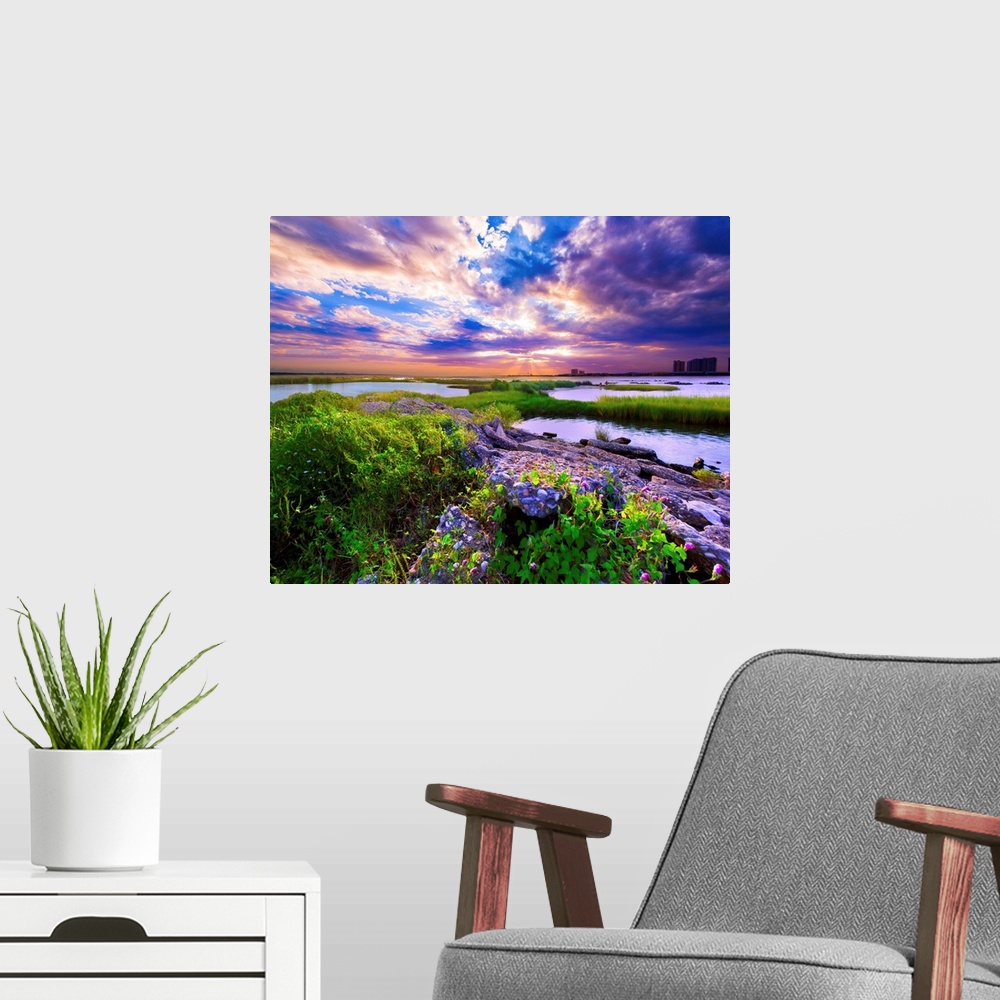 A modern room featuring A joyful purple sunrise over morning glory wildflowers near the bay in Pensacola.