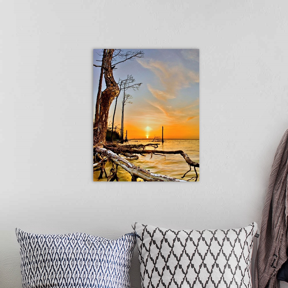 A bohemian room featuring A tree by the water in this orange lake sunset.