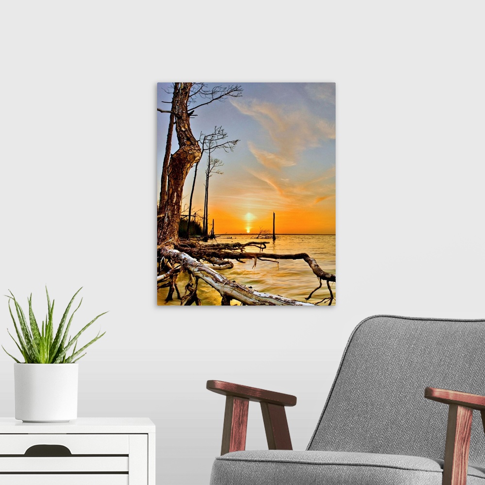 A modern room featuring A tree by the water in this orange lake sunset.