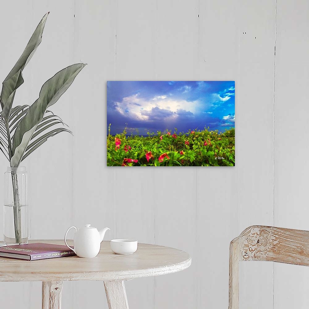 A farmhouse room featuring A field of purple morning glory below a blue sky.