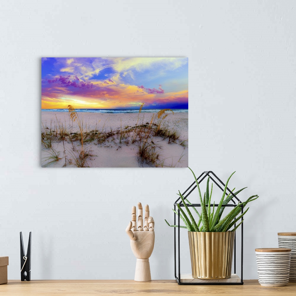A bohemian room featuring Sea Oats under a blue and Purple Sunrise on a Florida beach.  A landscape near Navarre Beach, Flo...