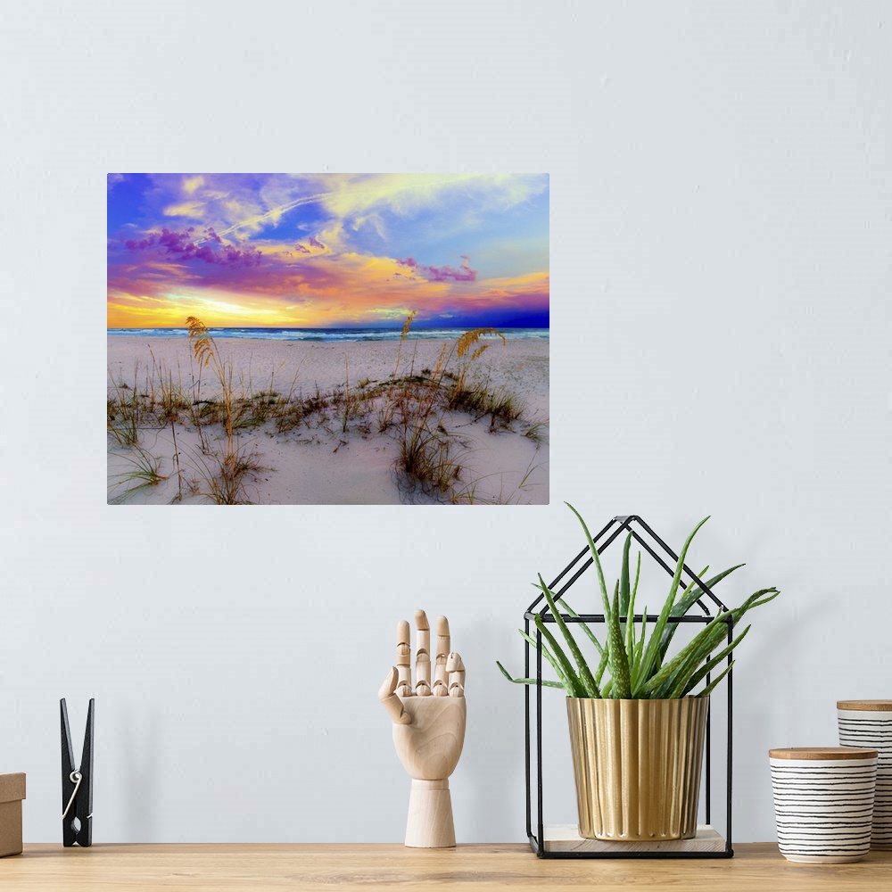 A bohemian room featuring Sea Oats under a blue and Purple Sunrise on a Florida beach.  A landscape near Navarre Beach, Flo...
