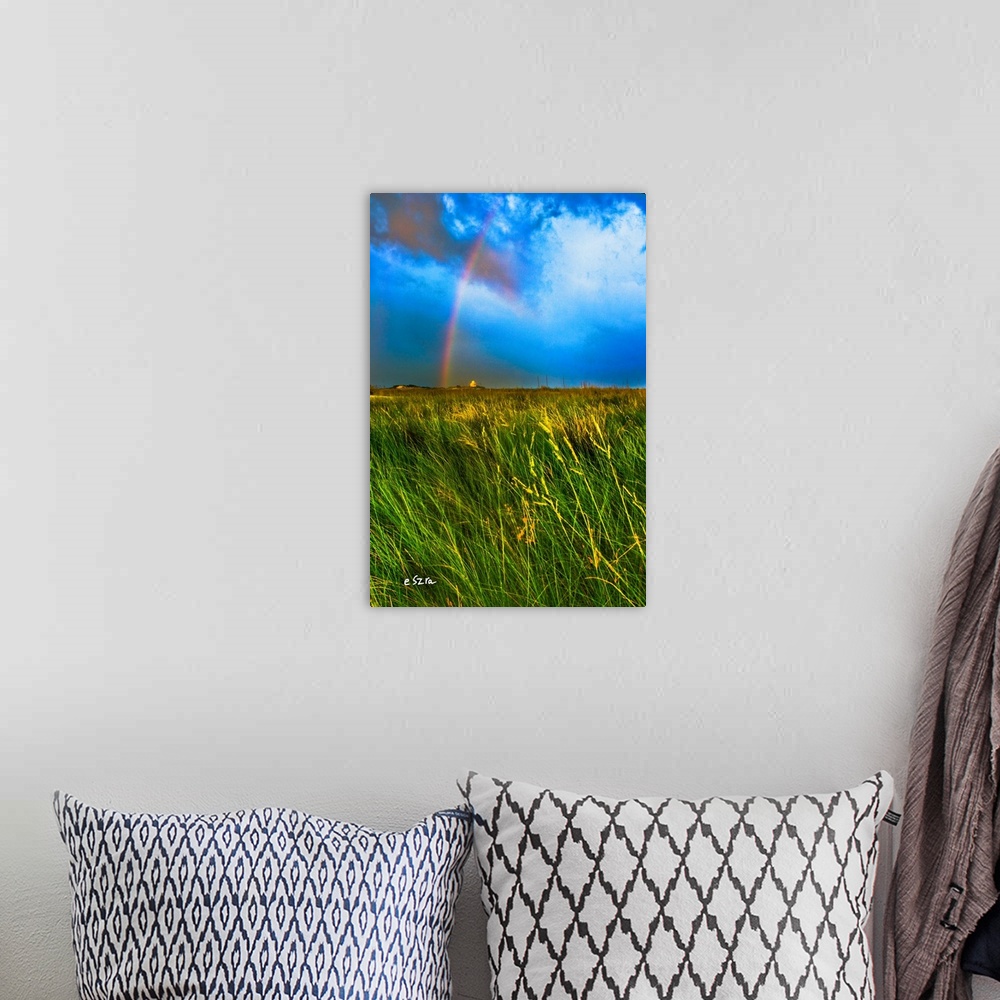 A bohemian room featuring A rainbow blue sky with a green grassy meadow.