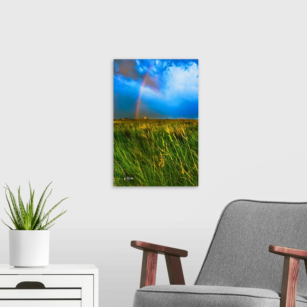 A modern room featuring A rainbow blue sky with a green grassy meadow.