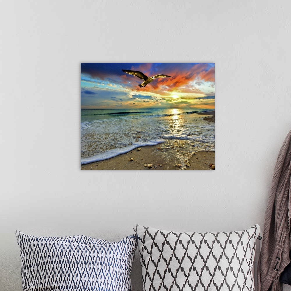 A bohemian room featuring A soaring sea hawk above a sandy shell covered shore before green sea and bright red sunset. A ve...