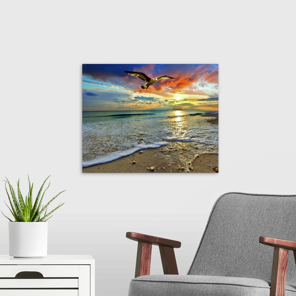 A modern room featuring A soaring sea hawk above a sandy shell covered shore before green sea and bright red sunset. A ve...