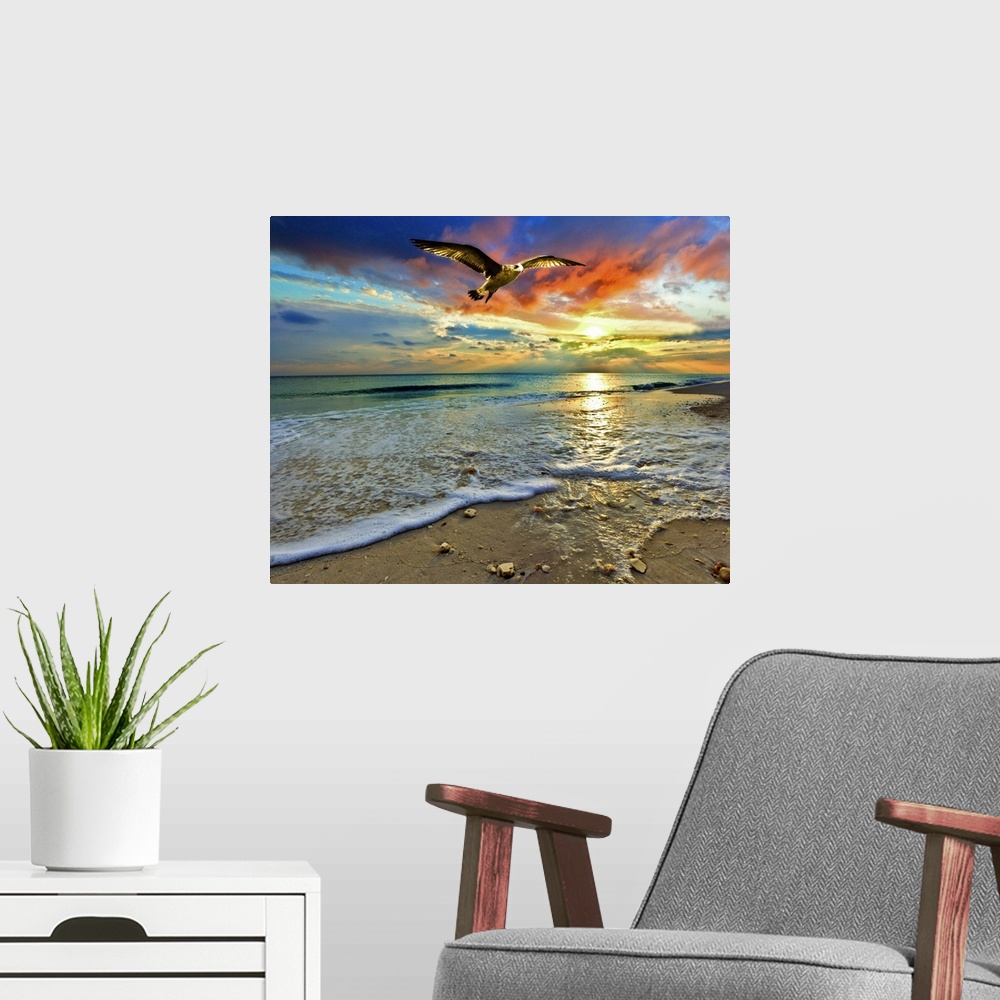 A modern room featuring A soaring sea hawk above a sandy shell covered shore before green sea and bright red sunset. A ve...