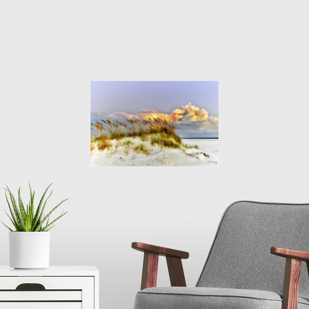 A modern room featuring Wild sea oats grow on the dunes along the beach.  Landscape taken in Pensacola, Florida.