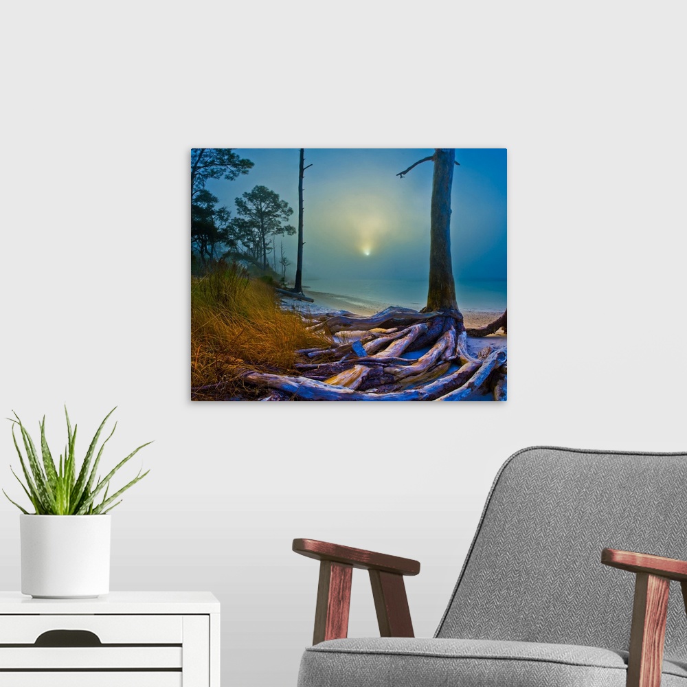 A modern room featuring A forest by the sea with sunlight through dense fog on a beach.