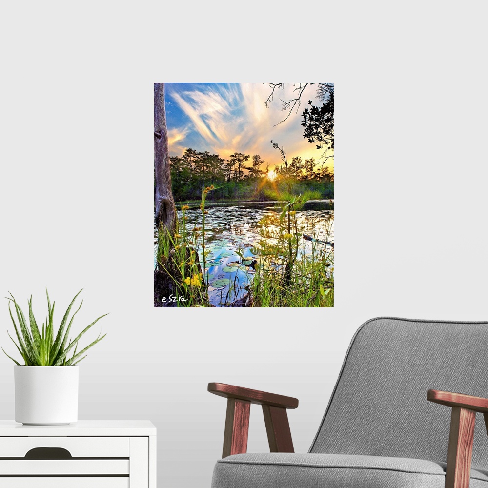 A modern room featuring Yellow Flowers with lily pads in the swamp at sunset.