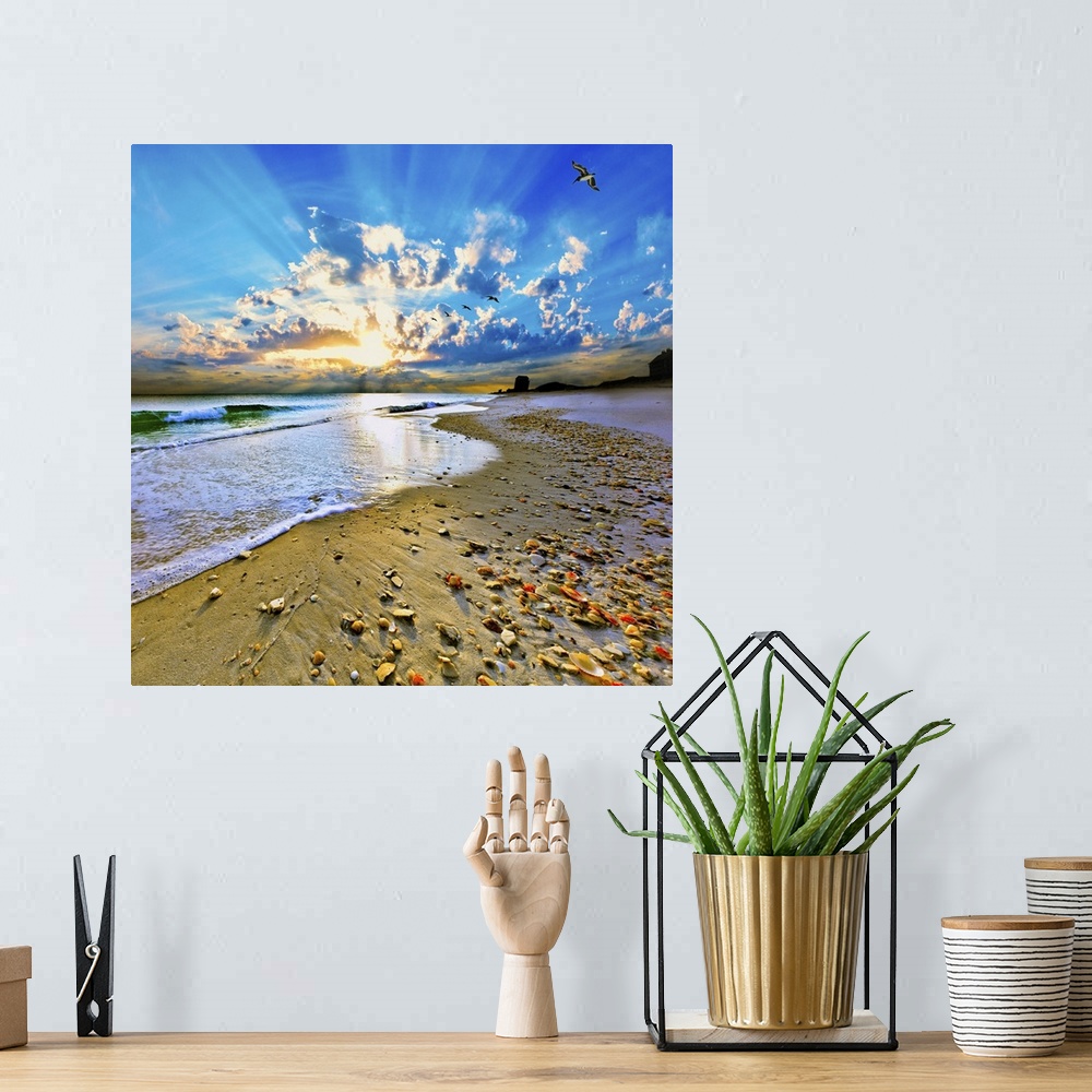A bohemian room featuring A sandy shell covered shore before sun rays bursting out of a bright blue sunset. A very tranquil...