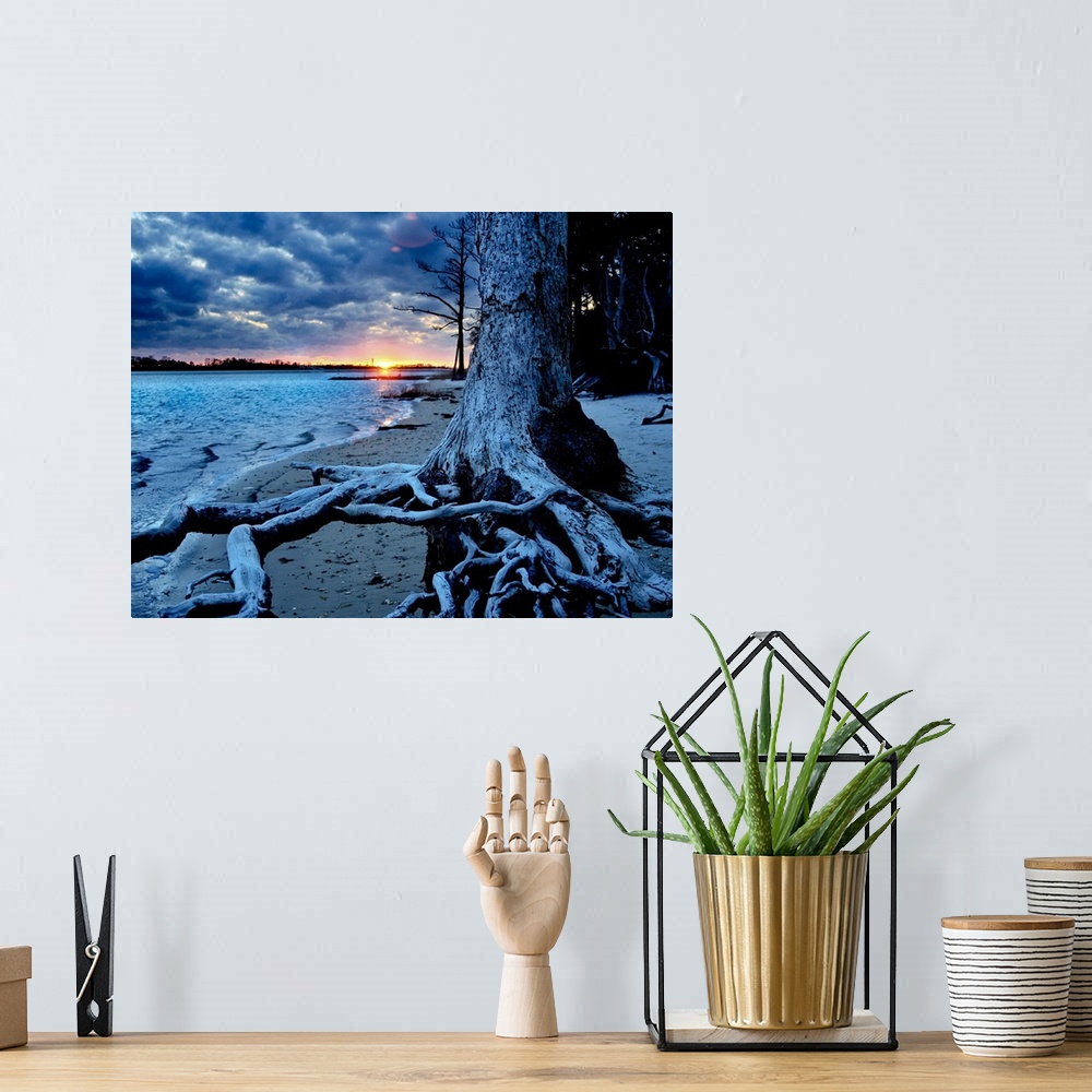 A bohemian room featuring A weathered tree roots inspirational art print.