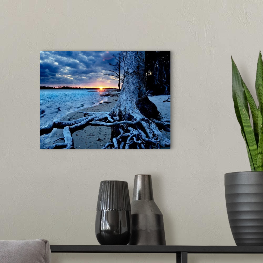 A modern room featuring A weathered tree roots inspirational art print.