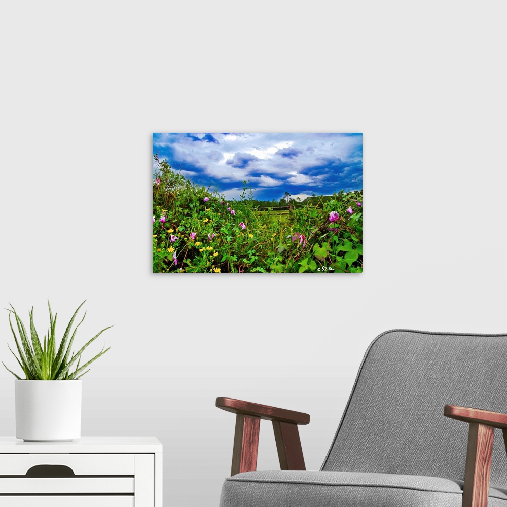 A modern room featuring A wildflower landscape with morning glory and dandelion.