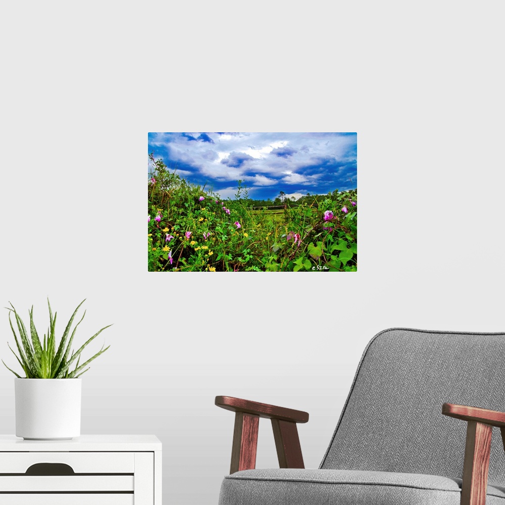 A modern room featuring A wildflower landscape with morning glory and dandelion.