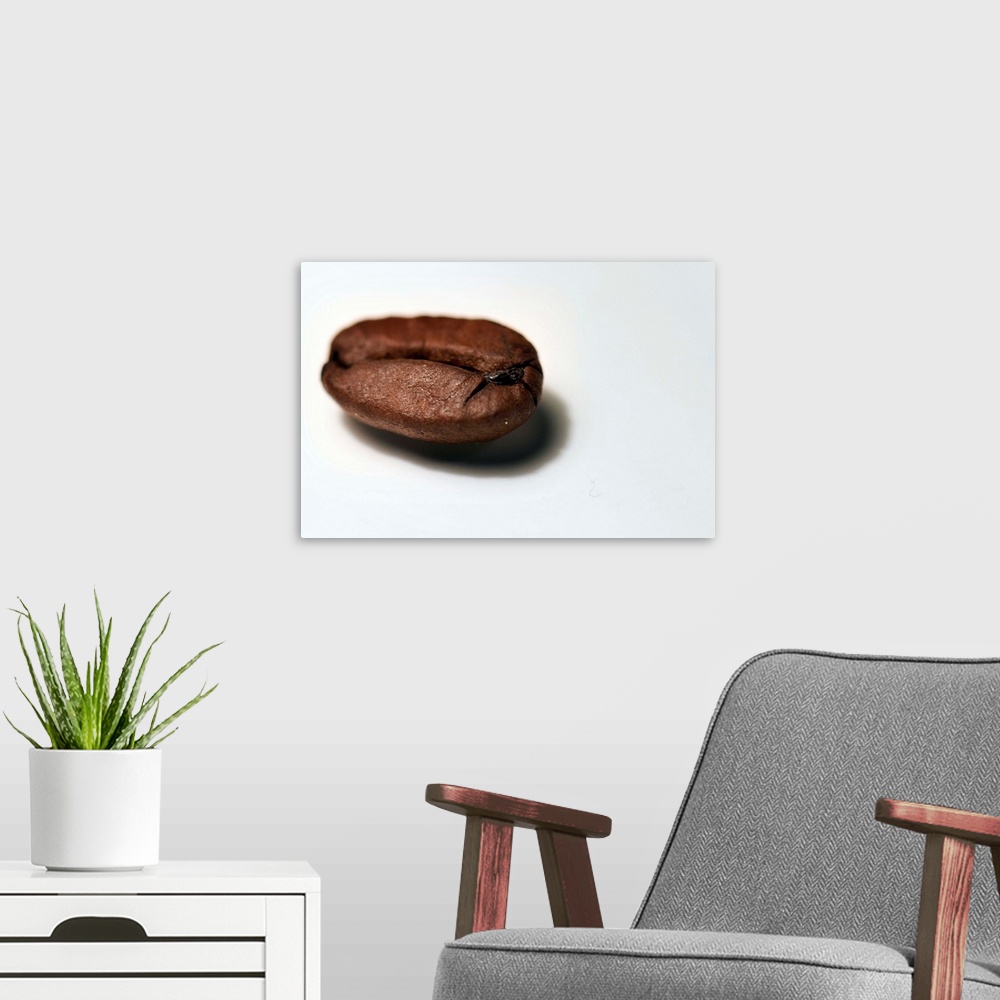 A modern room featuring A Coffee Bean