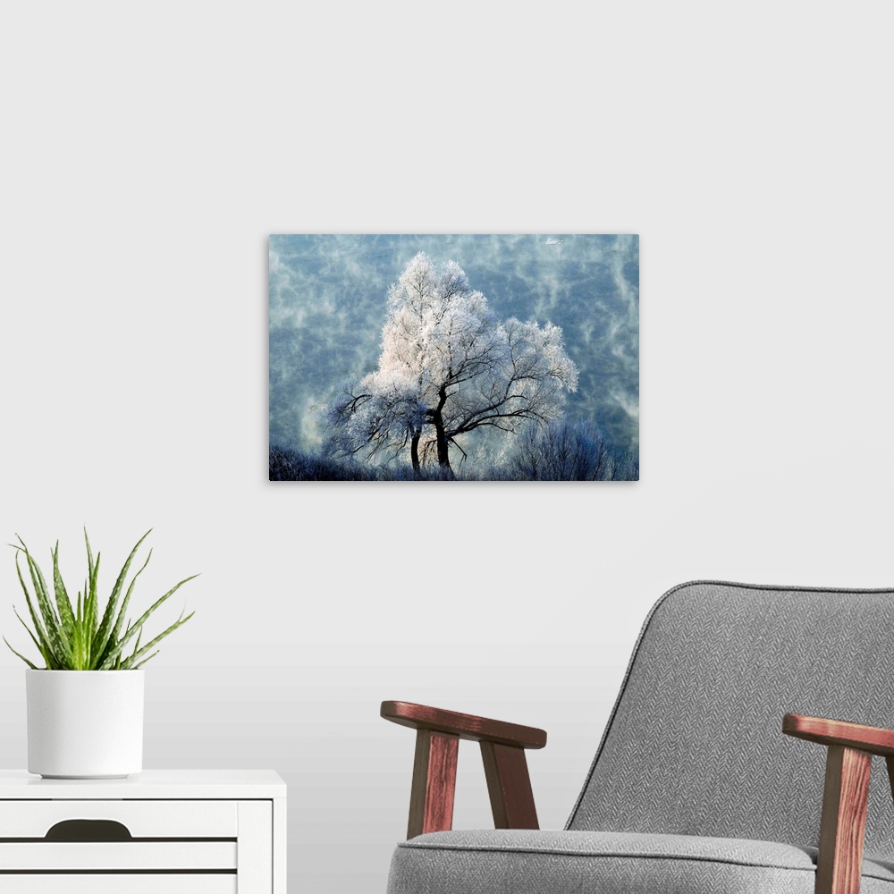 A modern room featuring A Tree Covered In  Ice