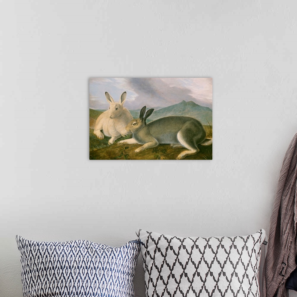 A bohemian room featuring Arctic Hare, by John James Audubon, 1841, American painting, watercolor and oil paint on paper. A...