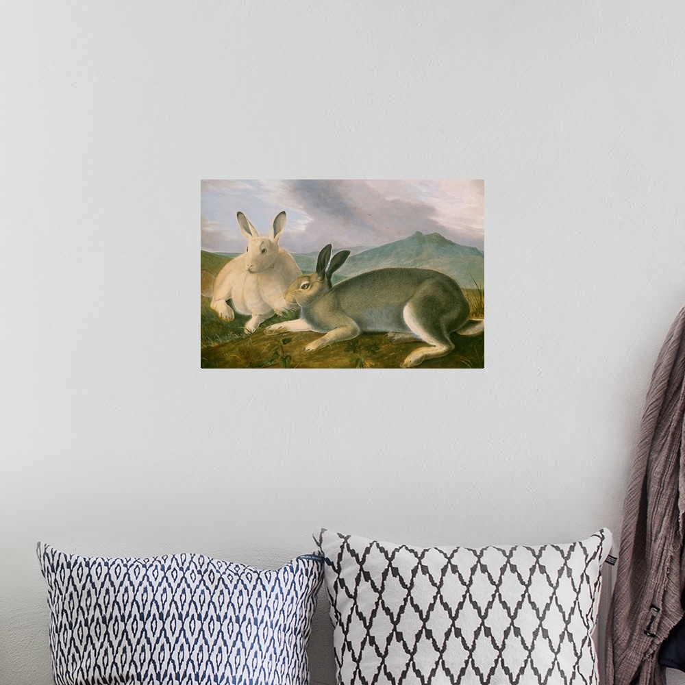 A bohemian room featuring Arctic Hare, by John James Audubon, 1841, American painting, watercolor and oil paint on paper. A...