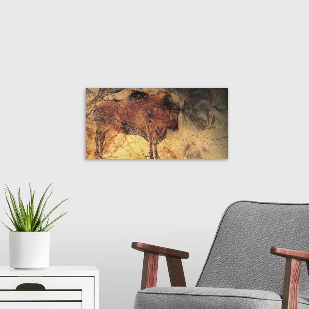 A modern room featuring Bison, Altamira Caves, Spain, Paleolithic cave art