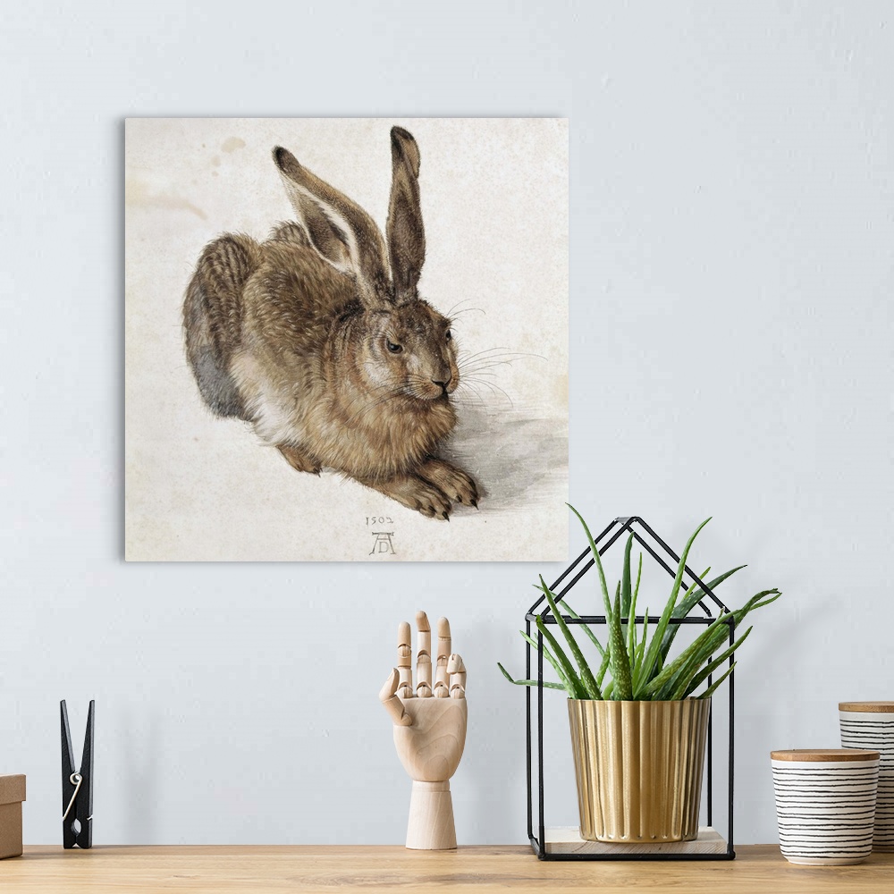 A bohemian room featuring Hare