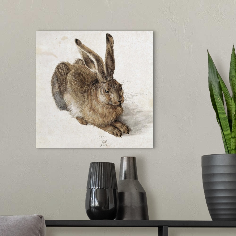 A modern room featuring Hare