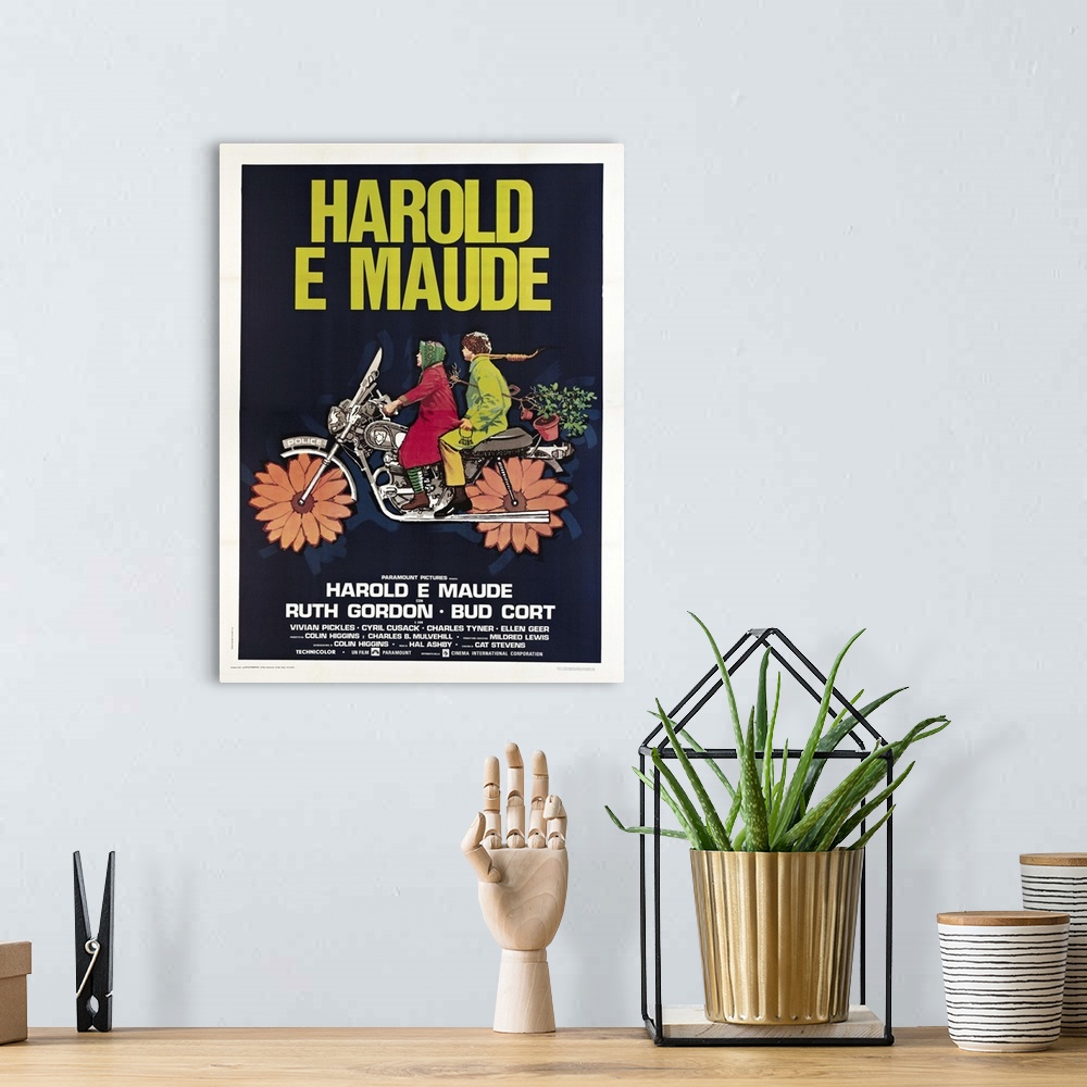 A bohemian room featuring Harold And Maude - Movie Poster (Italian)