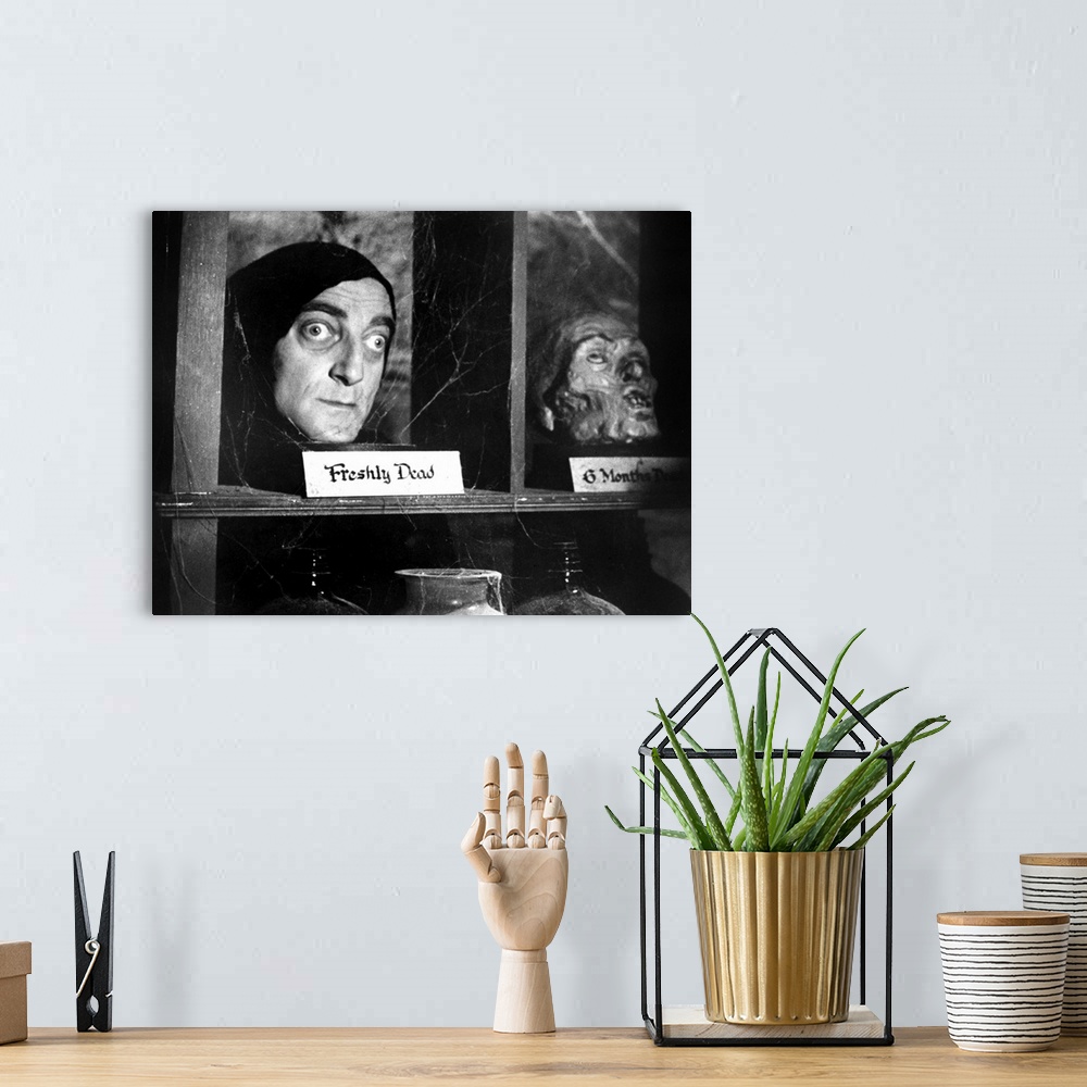 A bohemian room featuring Marty Feldman, Young Frankenstein
