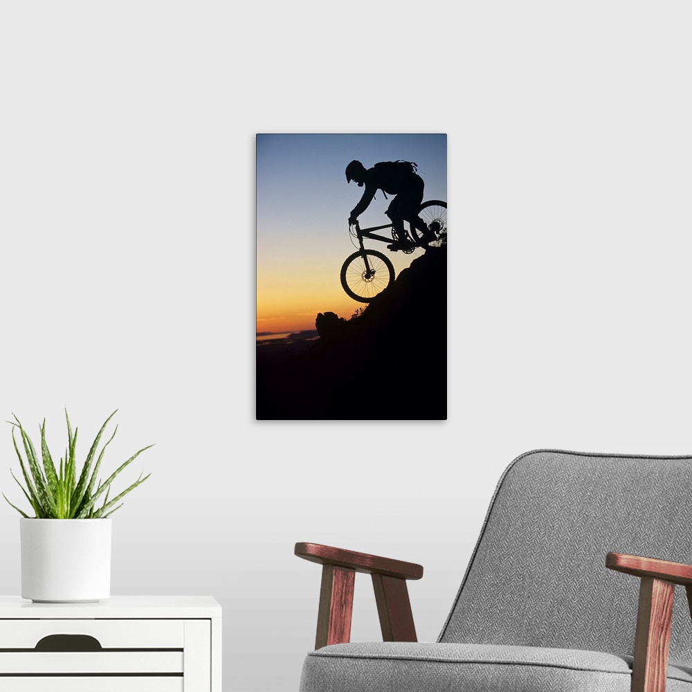 A modern room featuring Mountain Biker Riding Down Slope
