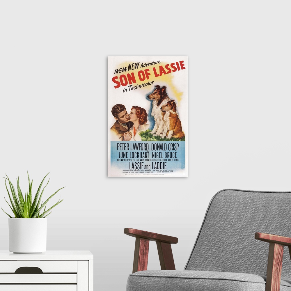 A modern room featuring Son Of Lassie, US Poster Art, Peter Lawford, June Lockhart, 1945