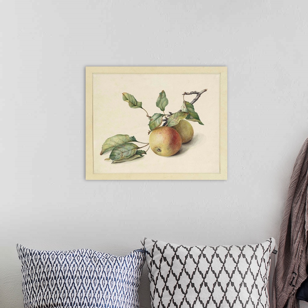 A bohemian room featuring Two Apples on a Branch, by Johannes Reekers, c . 1850-80, Dutch watercolor painting.