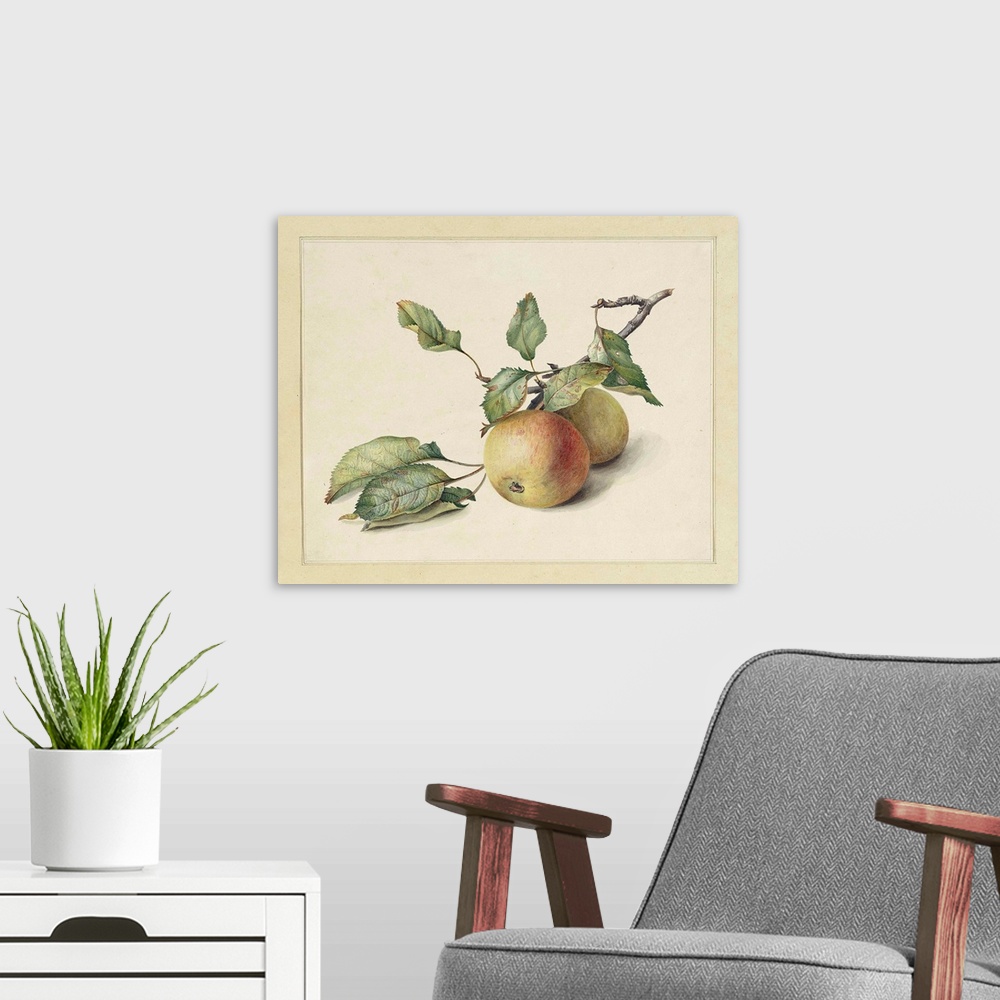 A modern room featuring Two Apples on a Branch, by Johannes Reekers, c . 1850-80, Dutch watercolor painting.