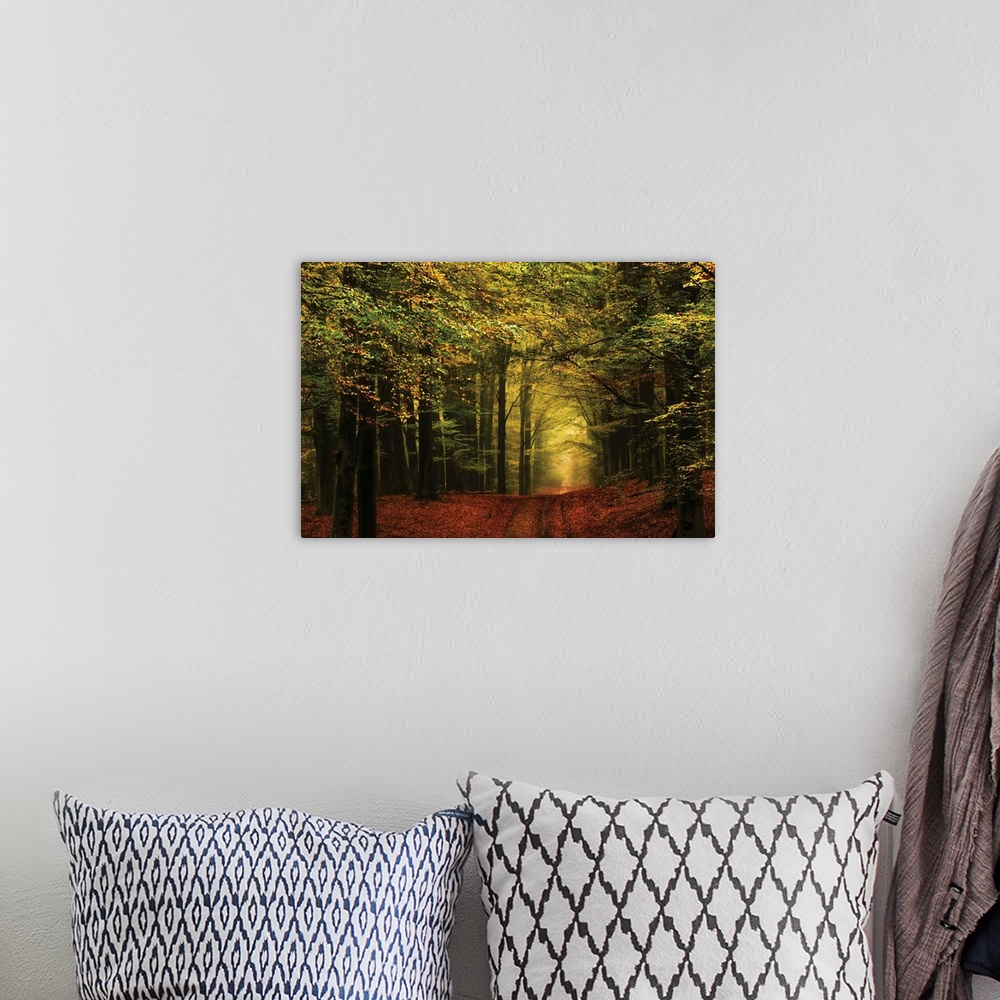 A bohemian room featuring Landscape photograph of a hilly path leading through an Autumn forest at golden hour.