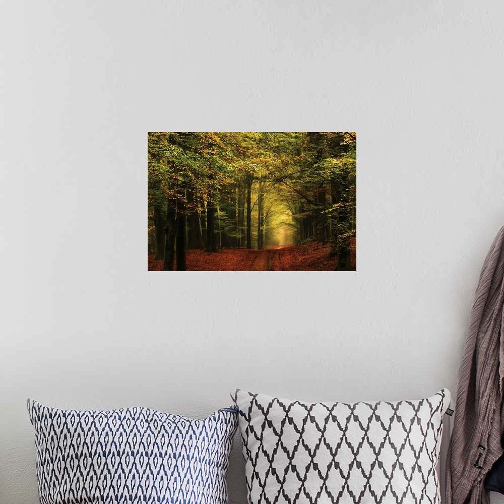 A bohemian room featuring Landscape photograph of a hilly path leading through an Autumn forest at golden hour.