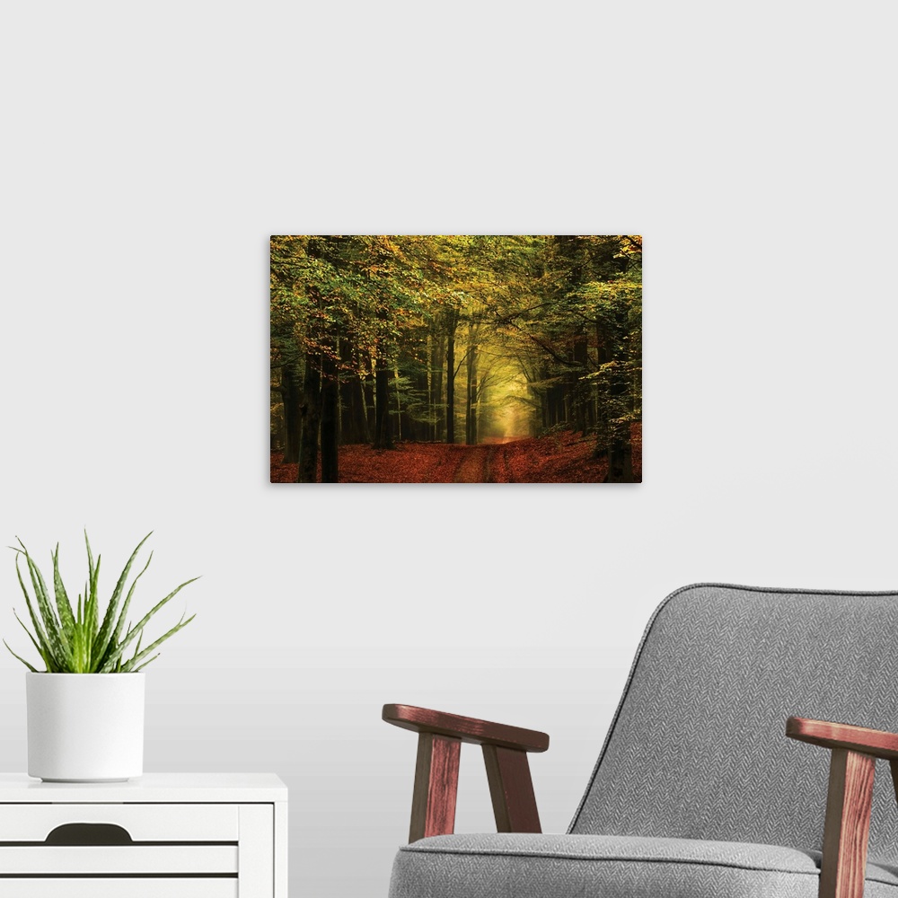 A modern room featuring Landscape photograph of a hilly path leading through an Autumn forest at golden hour.