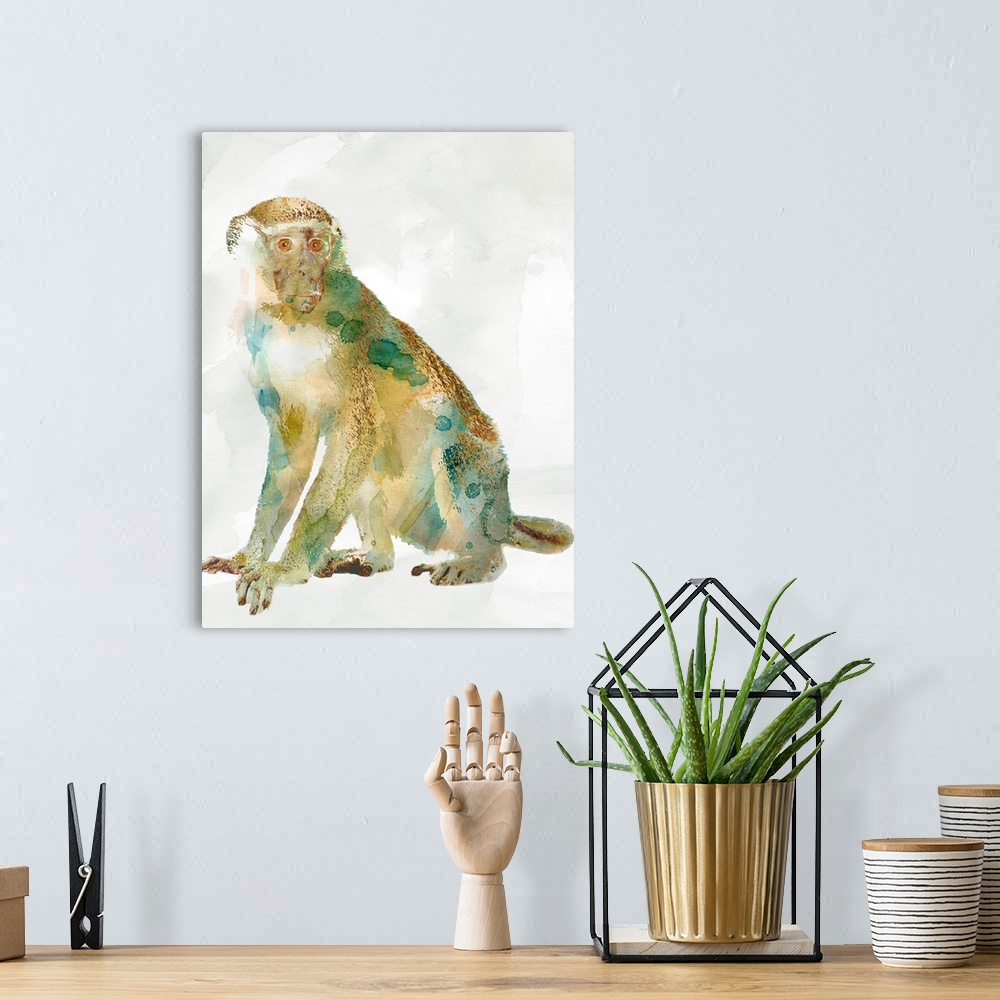 A bohemian room featuring African Colors Monkey