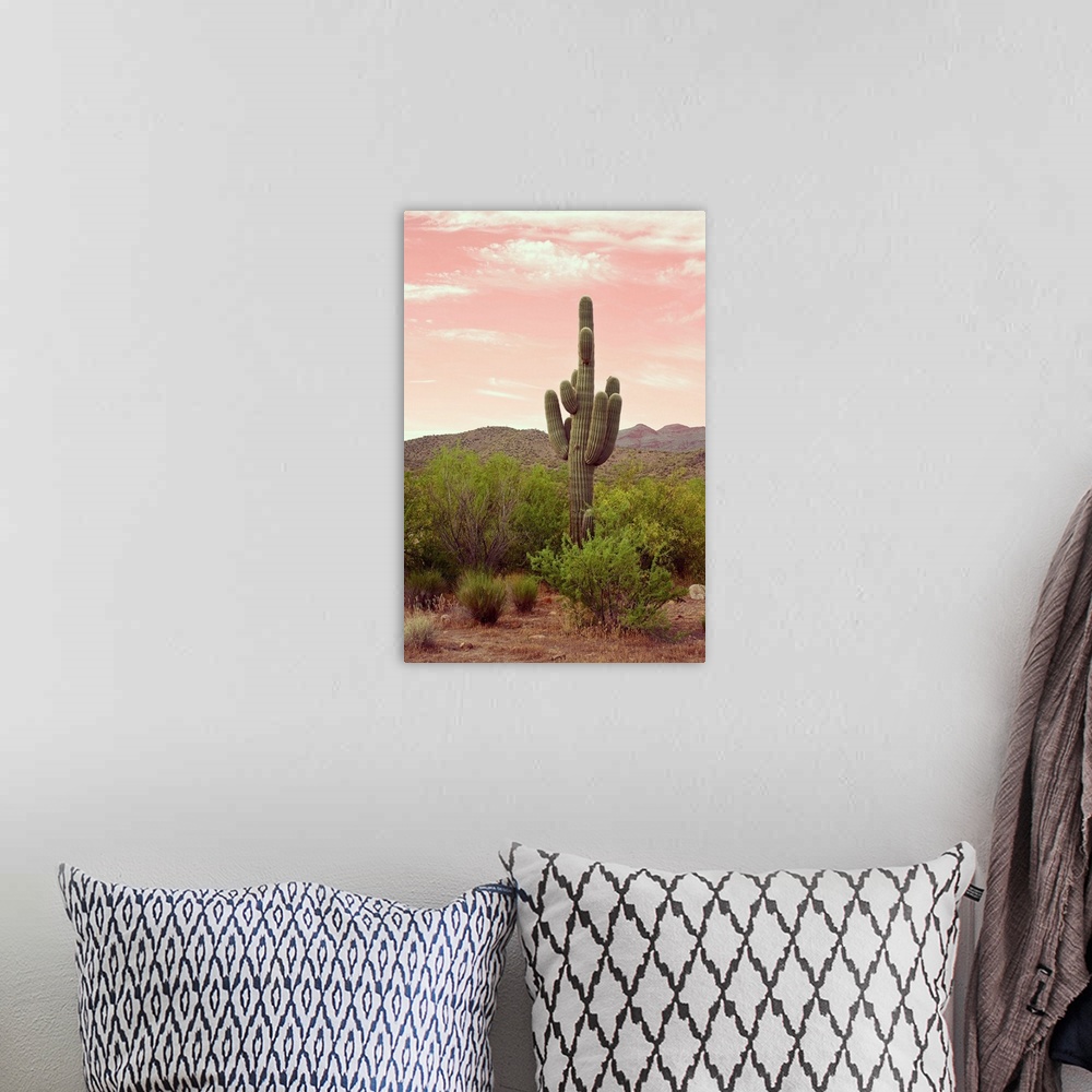 A bohemian room featuring Arizona Desert