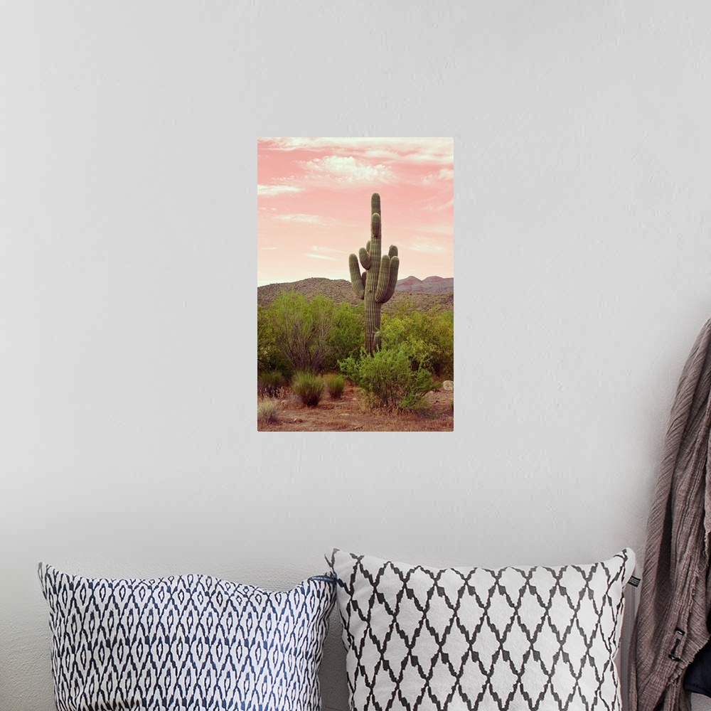 A bohemian room featuring Arizona Desert