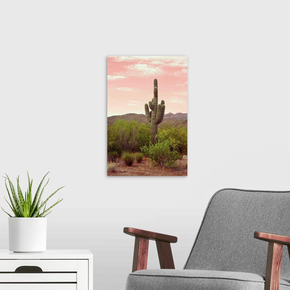 A modern room featuring Arizona Desert
