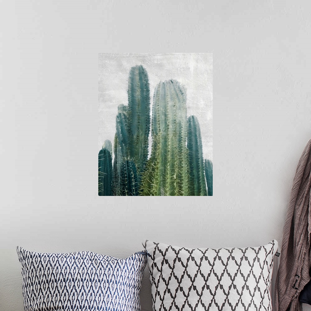 A bohemian room featuring Aruba Cacti II