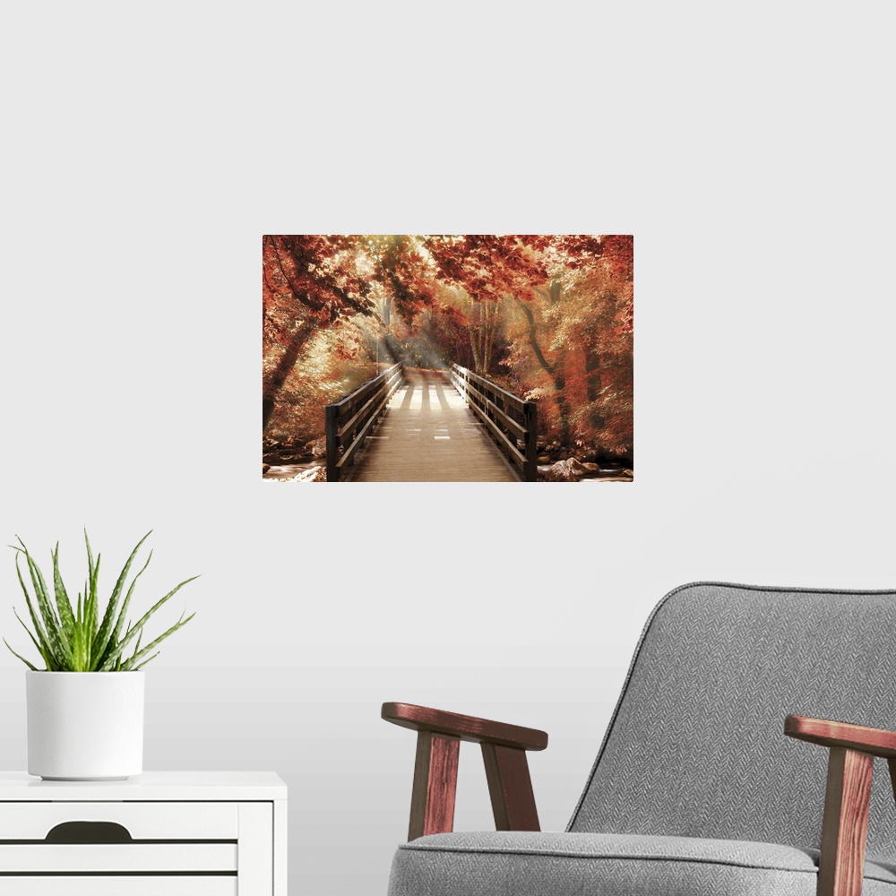 A modern room featuring Photograph of a bridge going over a creek in woods covered in red Fall trees with beautiful sunli...