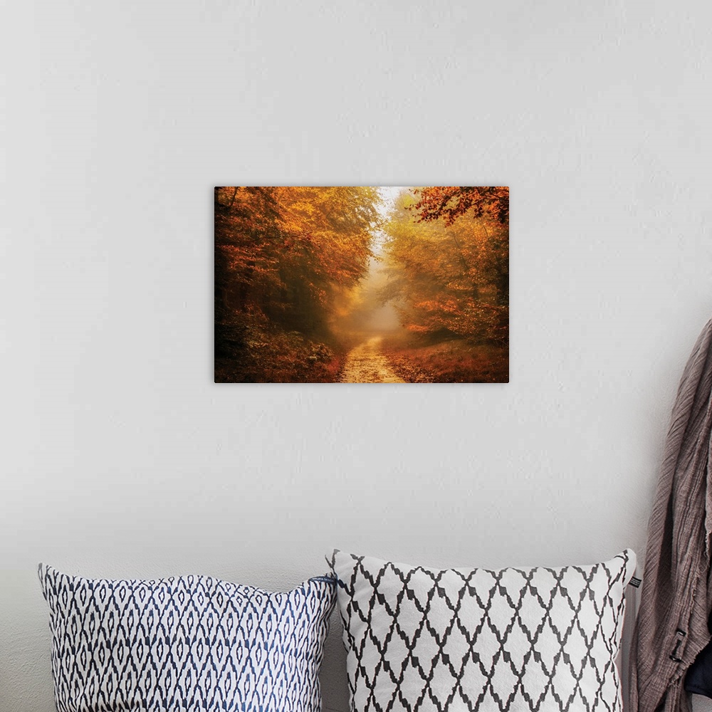 A bohemian room featuring Beautifully lit photograph of a foggy dirt road lined with red and orange Autumn trees and covere...