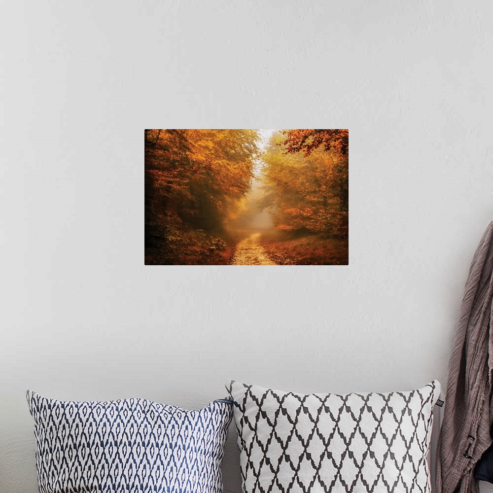 A bohemian room featuring Beautifully lit photograph of a foggy dirt road lined with red and orange Autumn trees and covere...