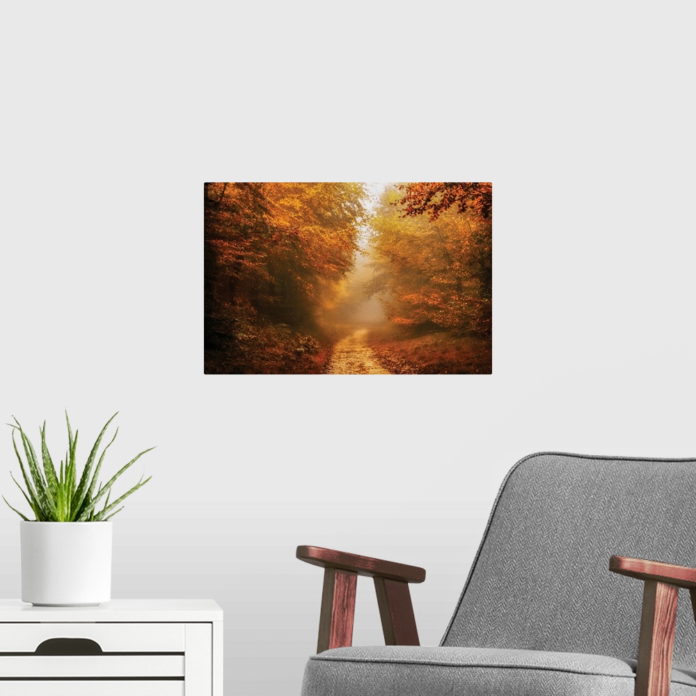 A modern room featuring Beautifully lit photograph of a foggy dirt road lined with red and orange Autumn trees and covere...