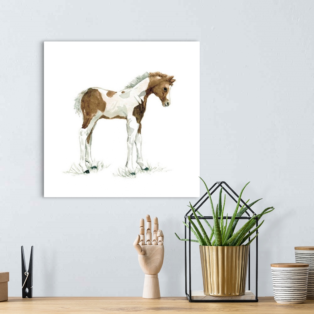 A bohemian room featuring Cute illustration of a small brown and white foal.