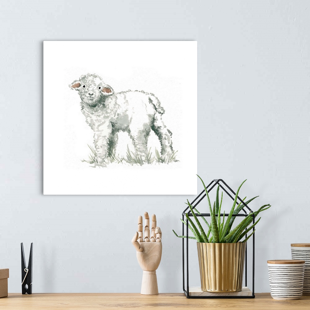 A bohemian room featuring Cute illustration of a small woolly lamb.