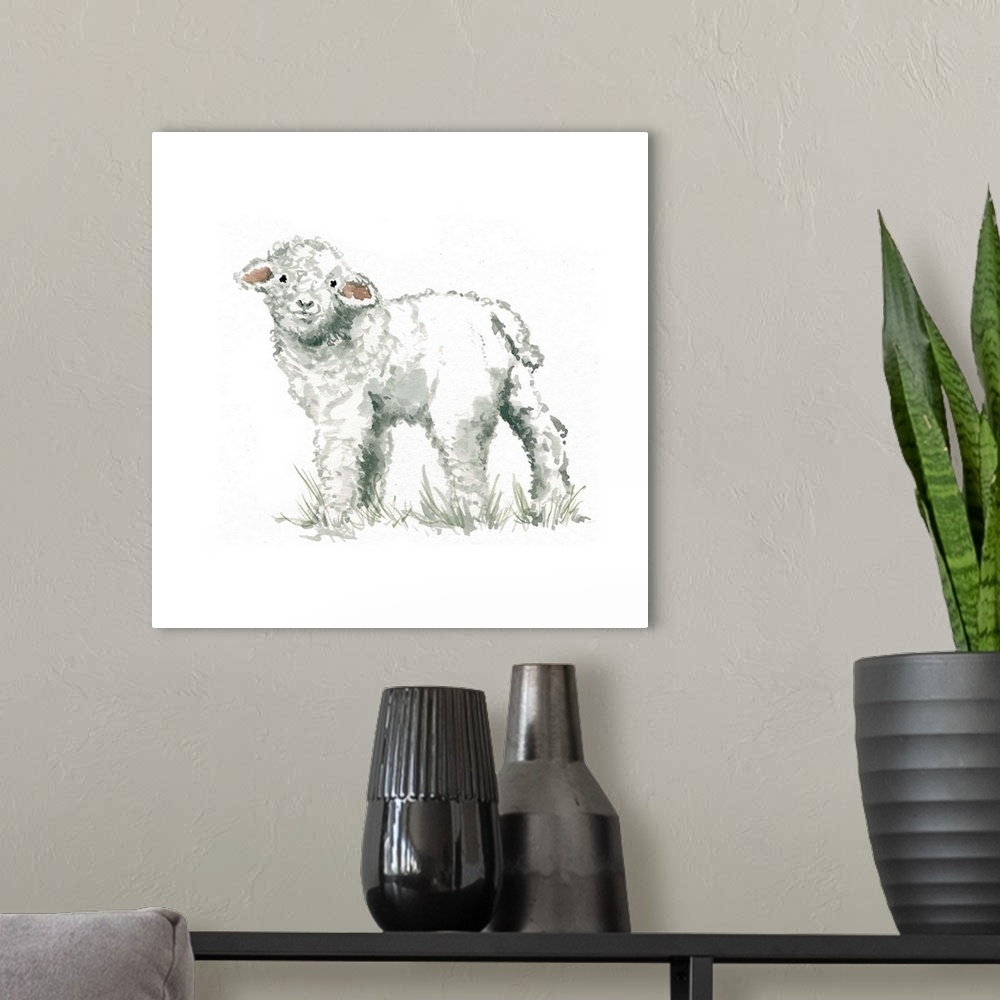 A modern room featuring Cute illustration of a small woolly lamb.